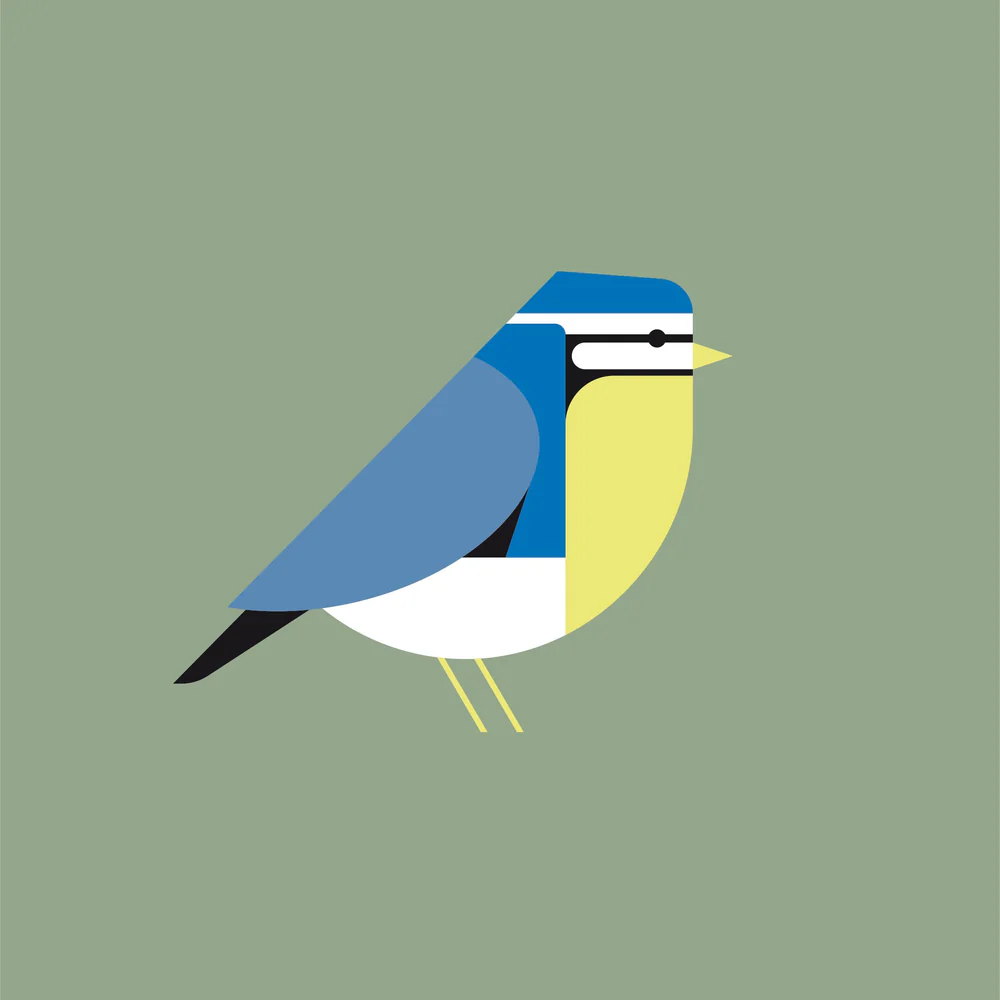 Okimono Hoodie Men, Green, Blue